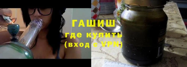 шишки Белокуриха