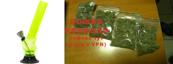 шишки Белокуриха
