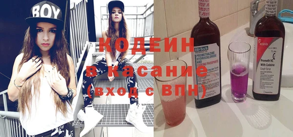 шишки Белокуриха