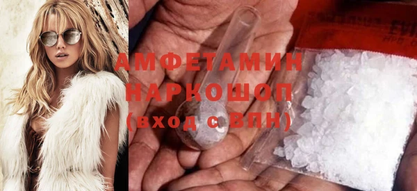 шишки Белокуриха