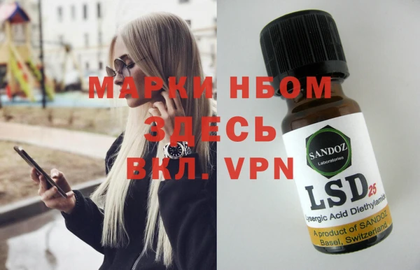 шишки Белокуриха
